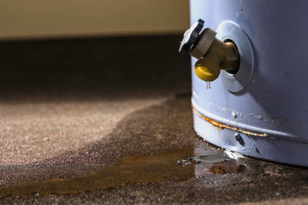 Best Residential water damage restoration  in Licking, MO