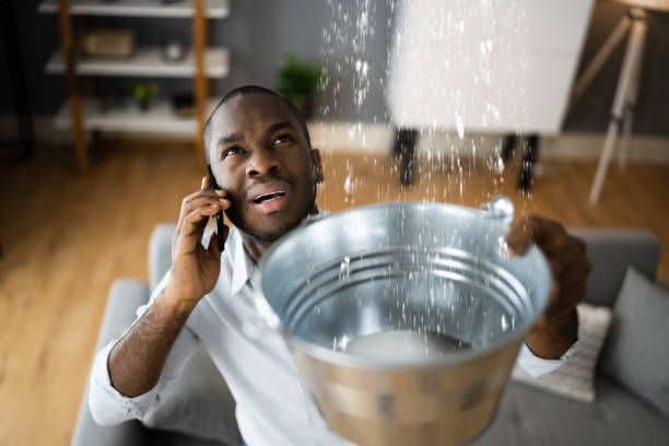Best Commercial water damage restoration  in Licking, MO