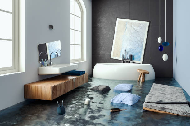 Best Flooded house restoration  in Licking, MO