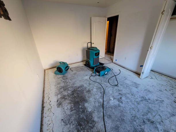 Sewage cleanup and water damage restoration in Licking, MO
