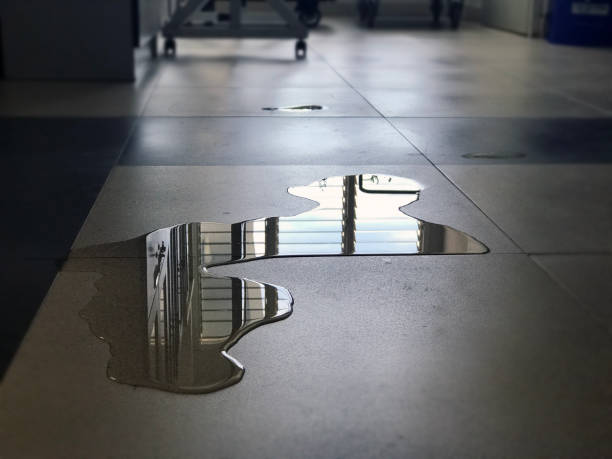 Best Carpet water damage restoration  in Licking, MO