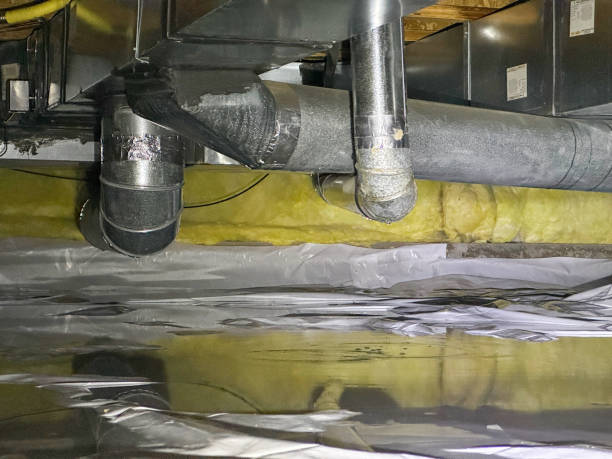Best Flooded house restoration  in Licking, MO