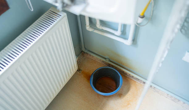 Licking, MO Water damage restoration Pros