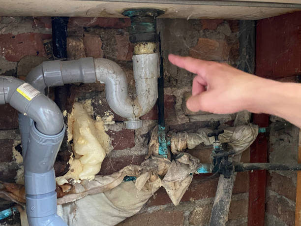 Trusted Licking, MO Water damage restoration Experts