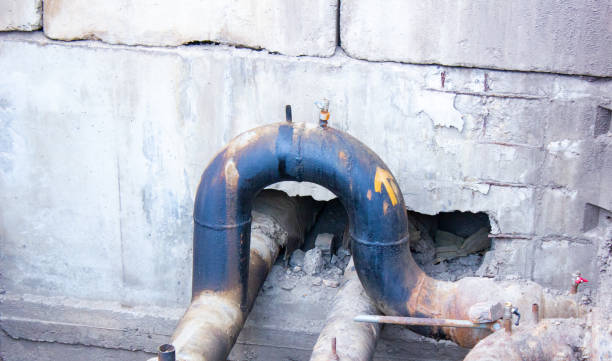 Best Water damage restoration near me  in Licking, MO