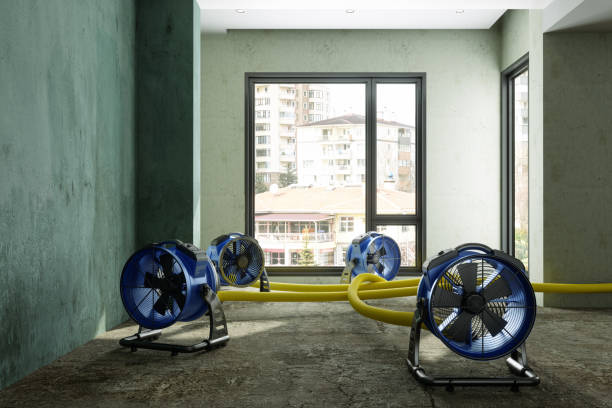 Best Emergency water damage restoration  in Licking, MO
